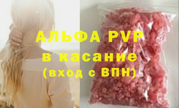 индика Белоозёрский